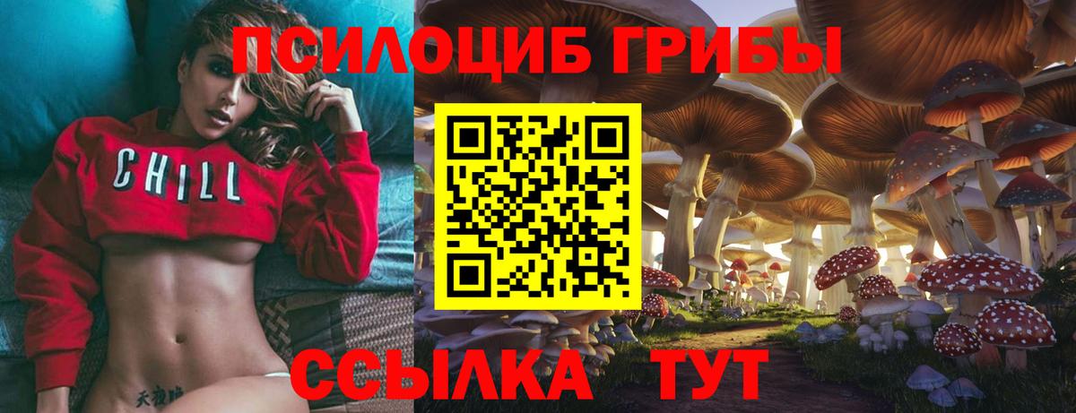 Черняховск  Галлюциногенные грибы прущие грибы  как найти закладки  Вход с VPN 